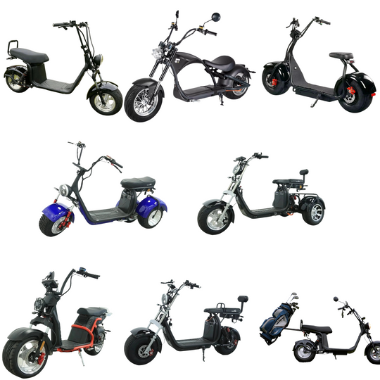 Steed Buyer’s Guide 2025: Compare All Electric Scooter & Tricycle Models