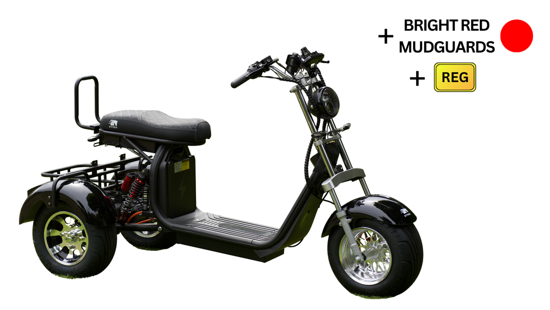 Steed Trike