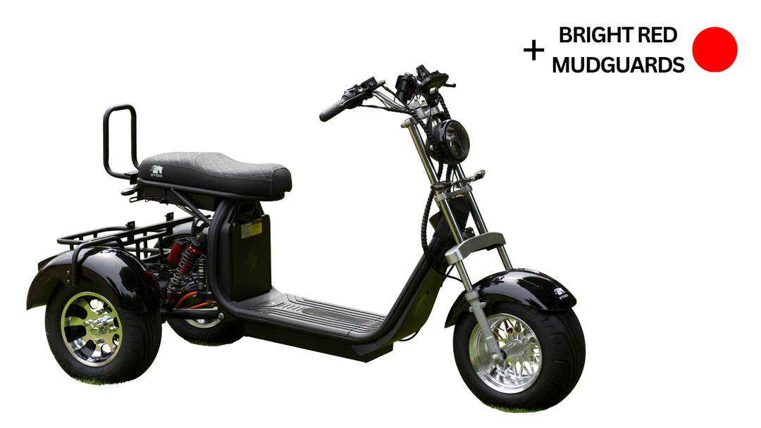 Steed Trike