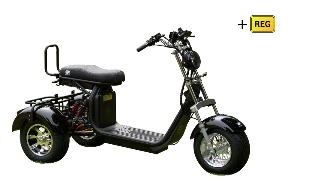 Steed Trike