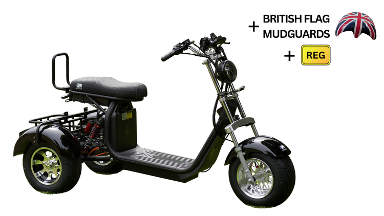 Steed Trike