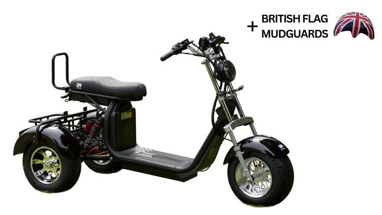 Steed Trike