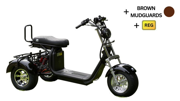 Steed Trike