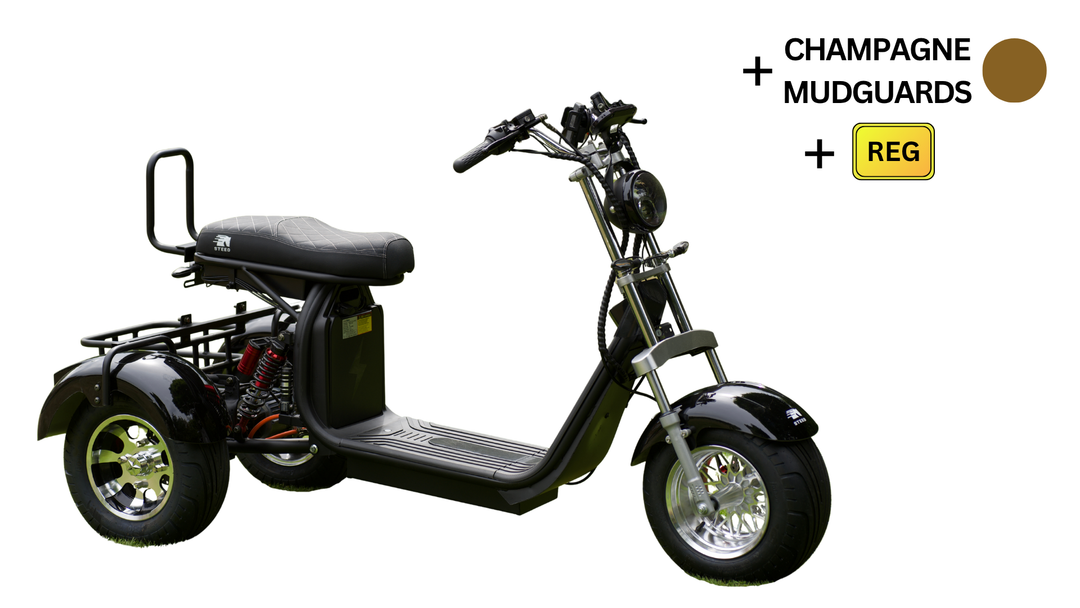 Steed Trike