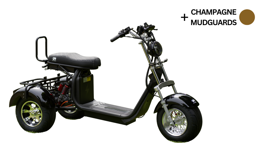 Steed Trike
