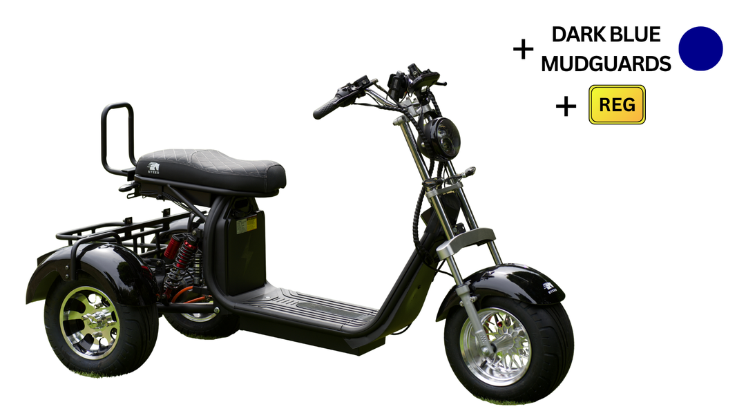 Steed Trike