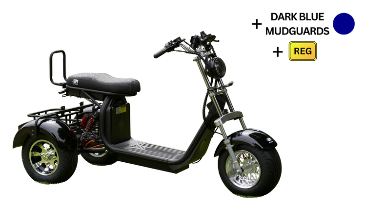 Steed Trike