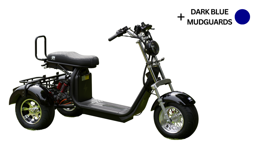 Steed Trike