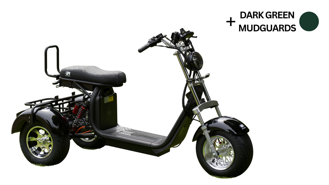 Steed Trike