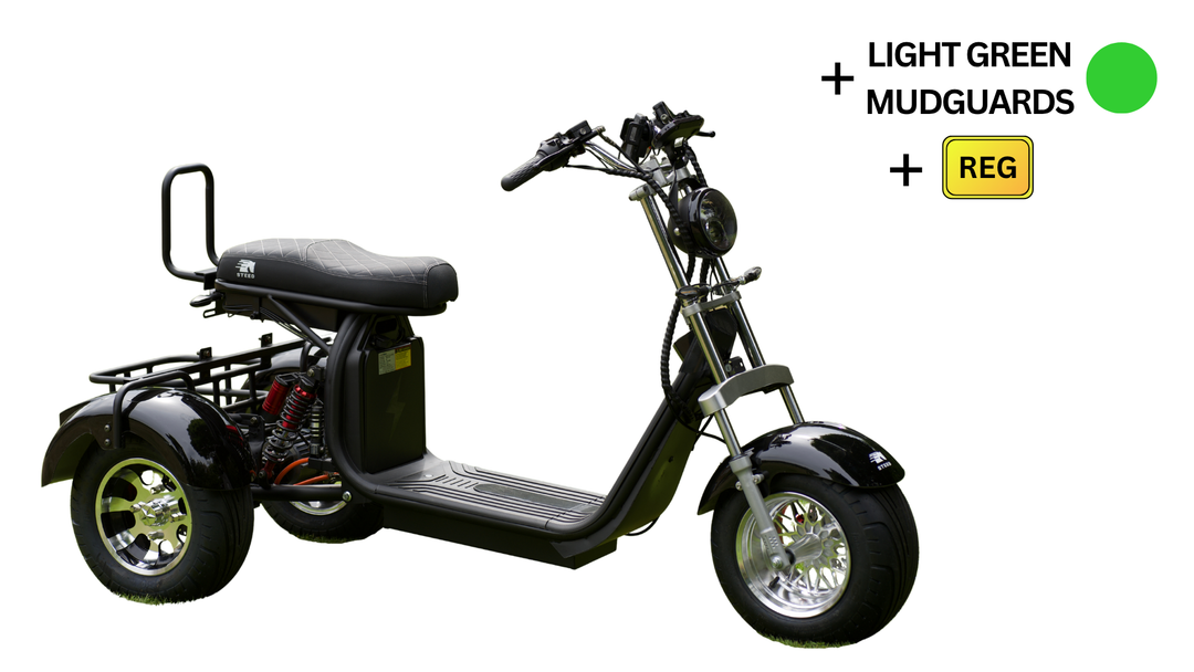Steed Trike