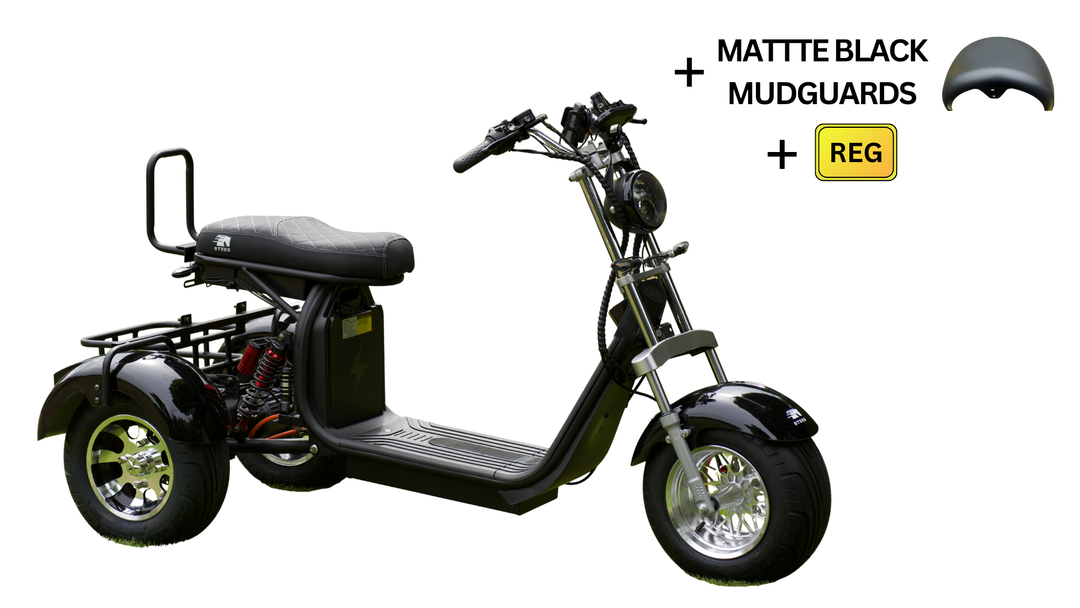 Steed Trike