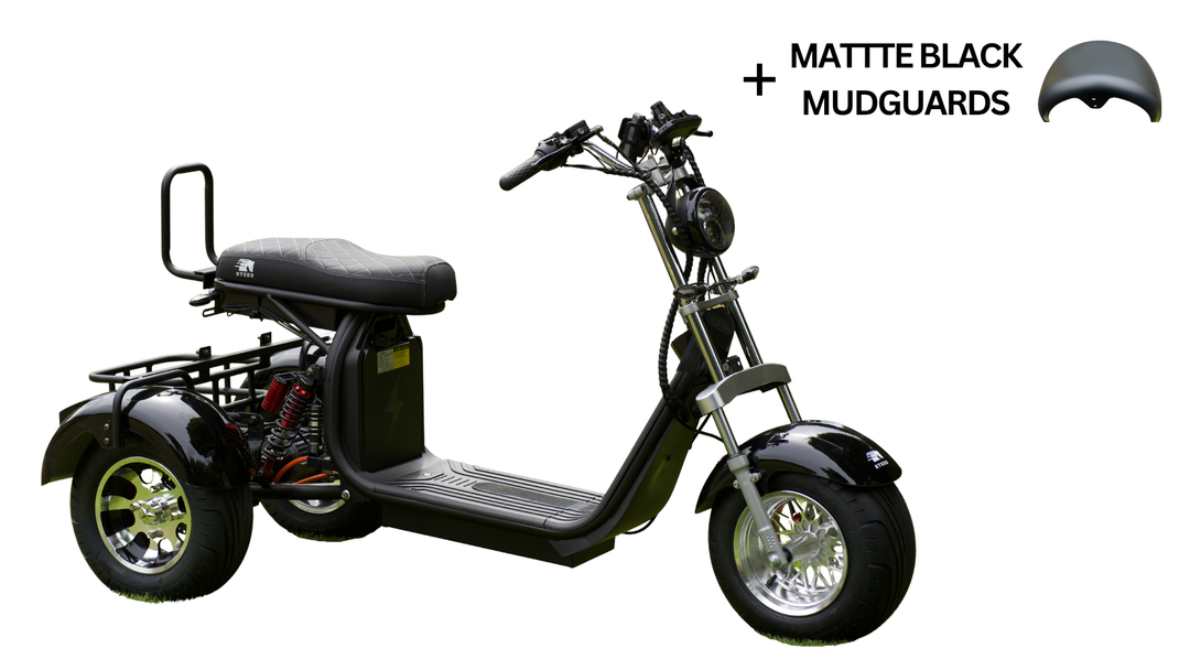 Steed Trike