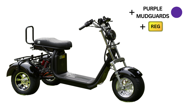 Steed Trike