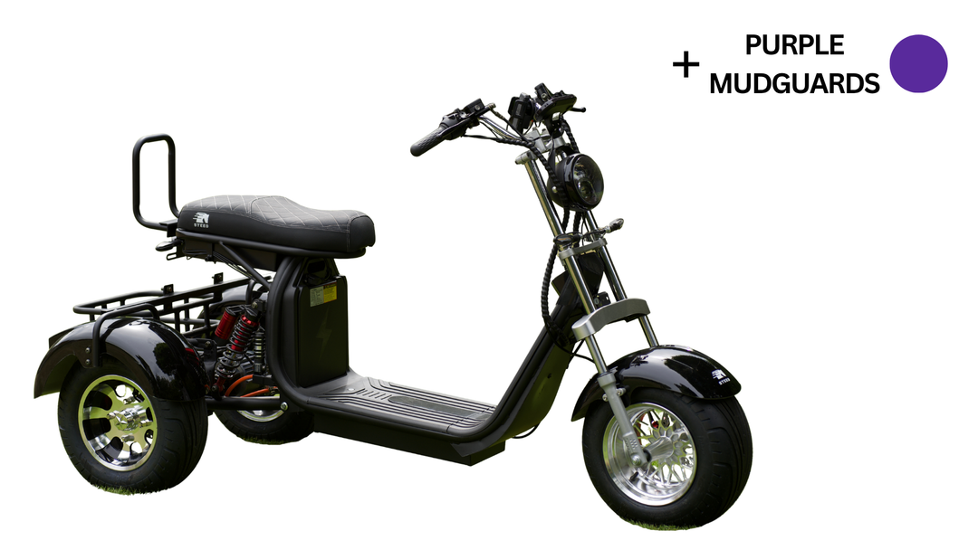 Steed Trike