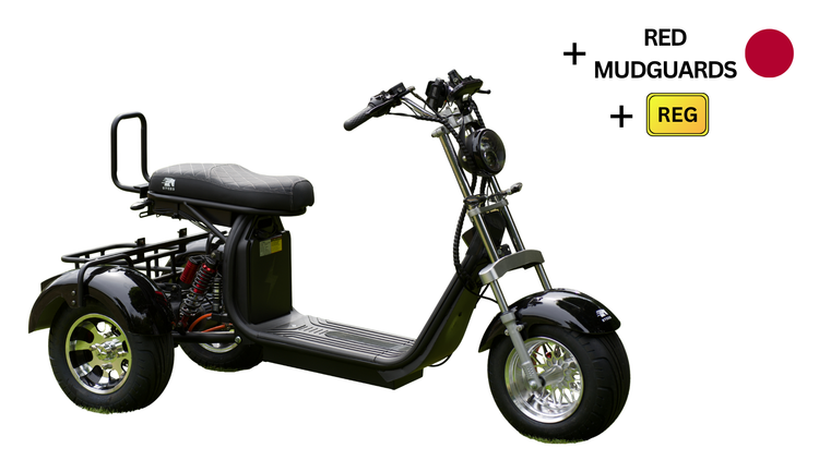 Steed Trike