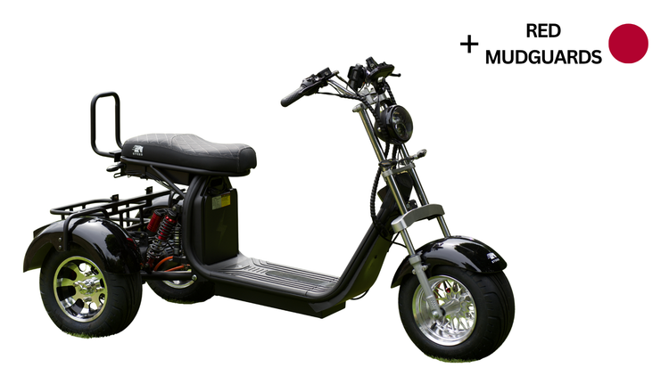 Steed Trike