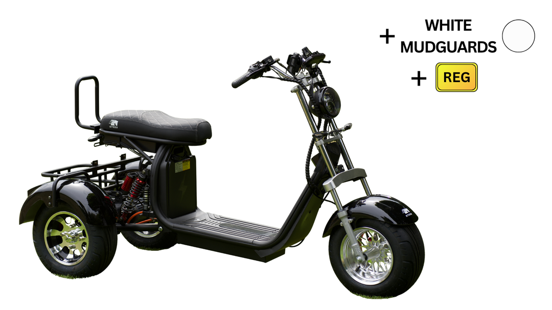 Steed Trike