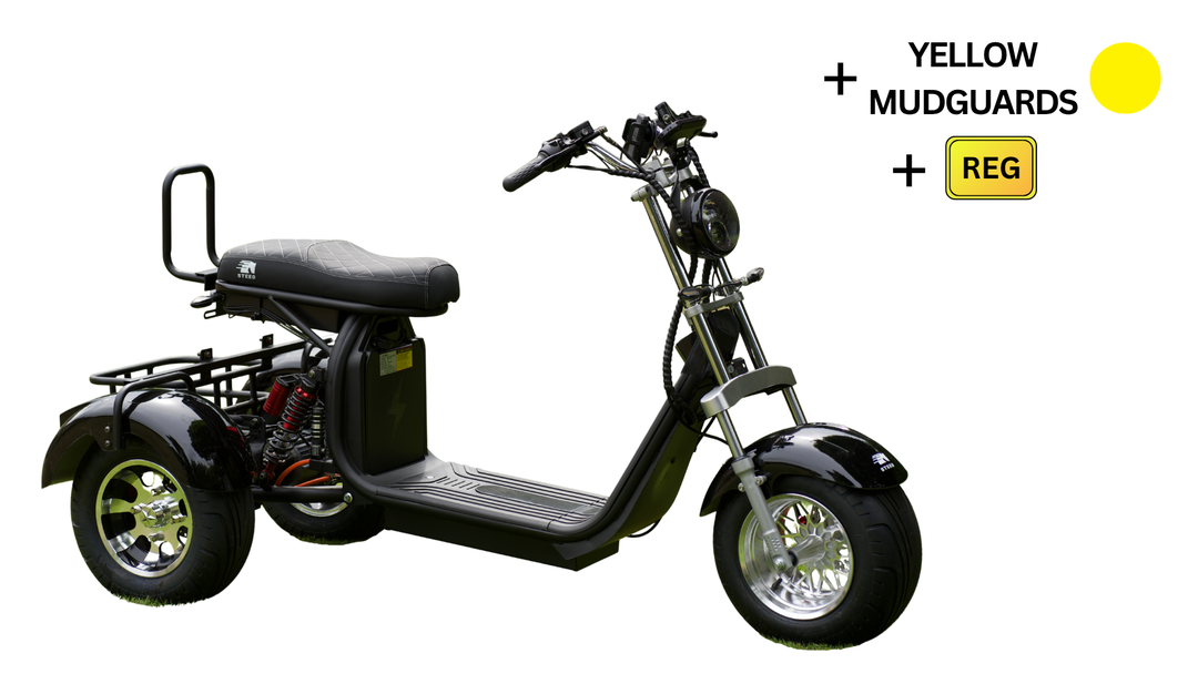 Steed Trike