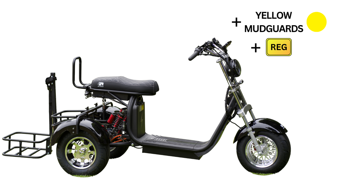 Steed Golf Trike