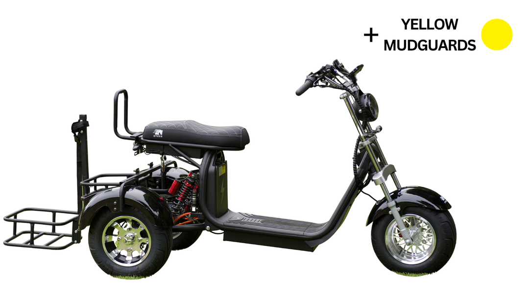 Steed Golf Trike