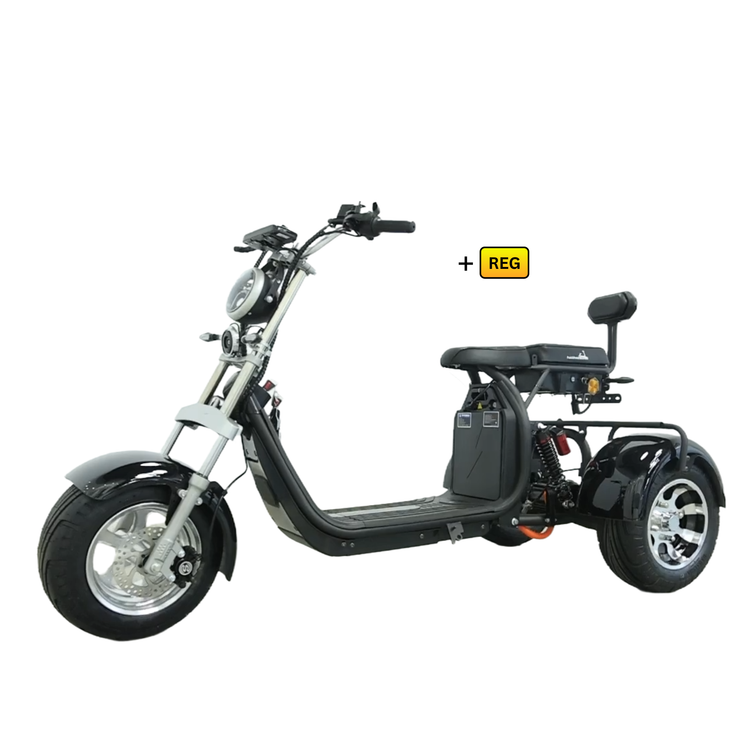 Steed Trike