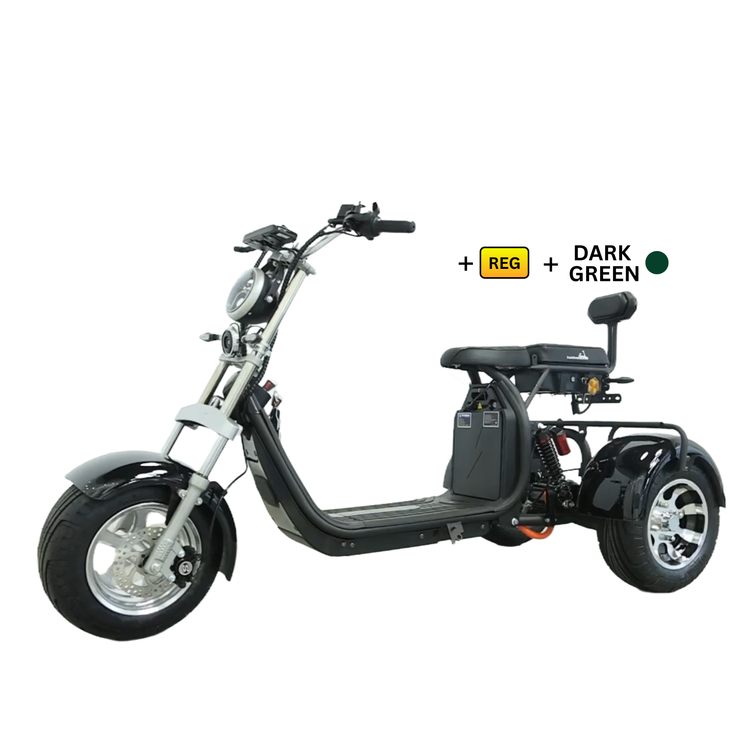 Steed Trike
