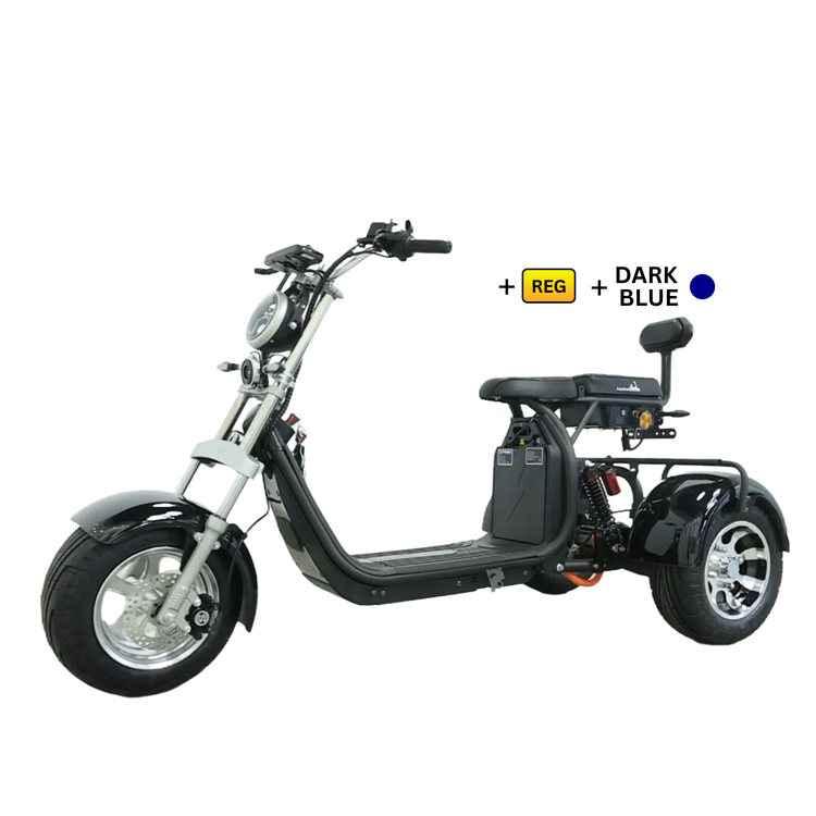 Steed Trike