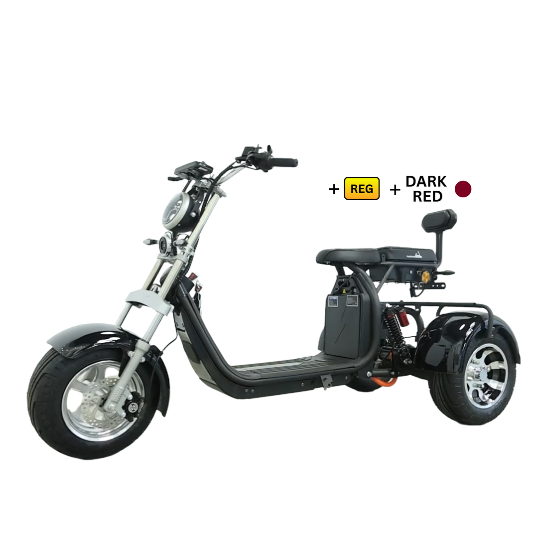 Steed Trike