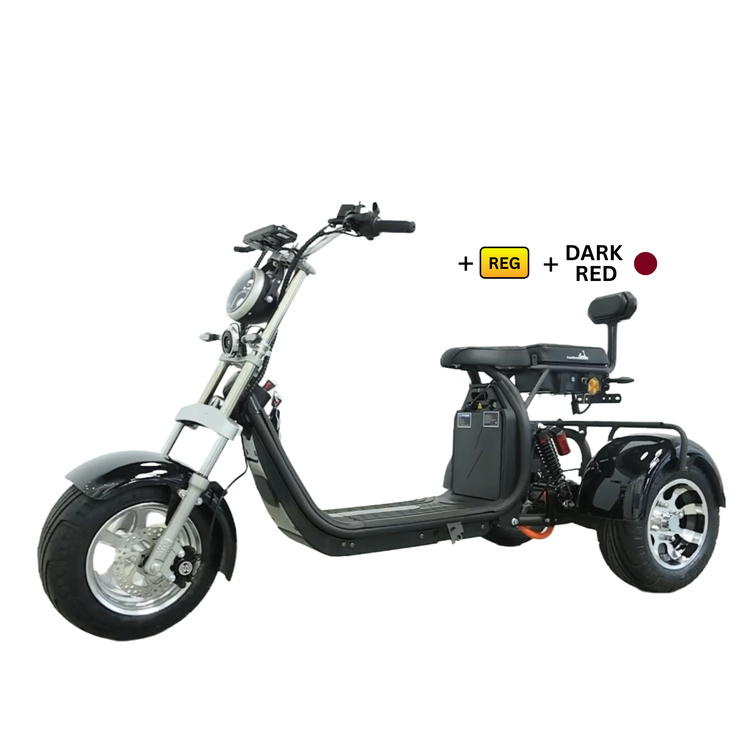 Steed Trike