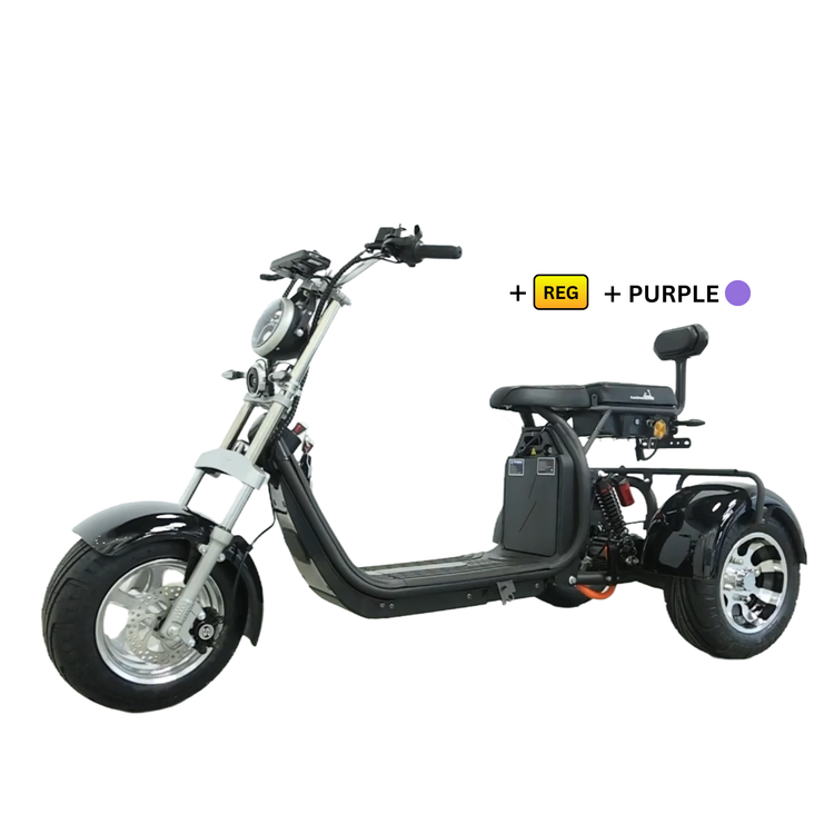 Steed Trike
