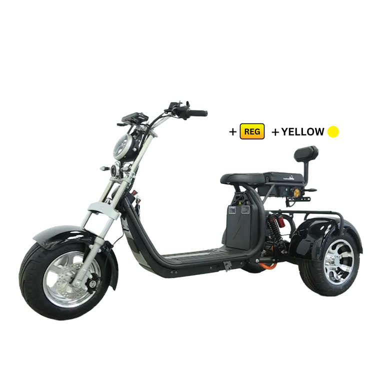 Steed Trike