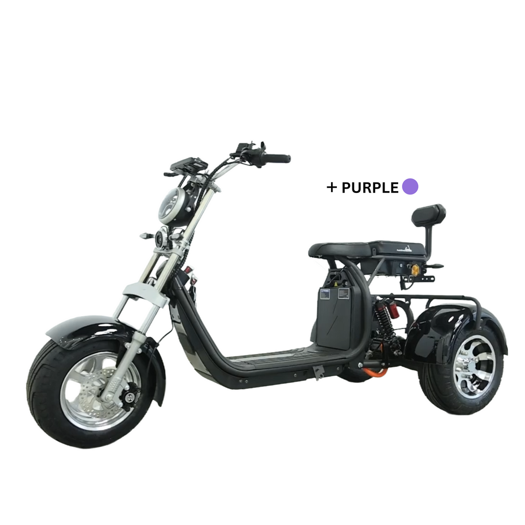 Steed Trike