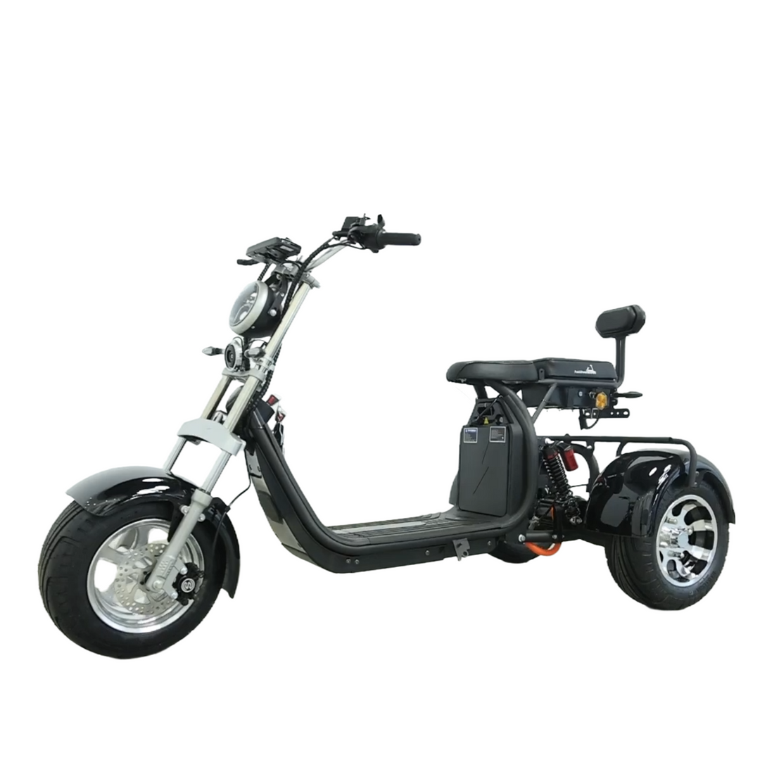 Steed Trike
