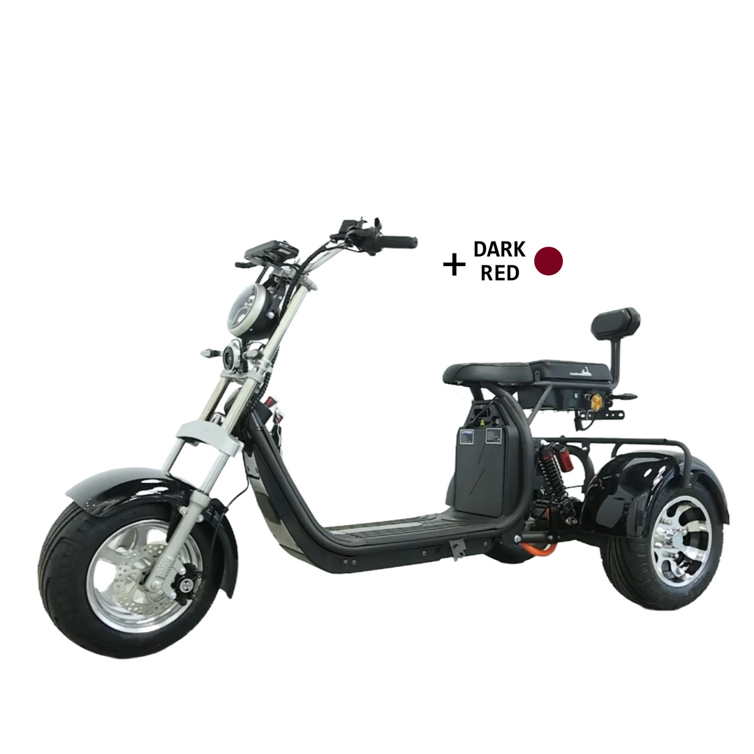 Steed Trike