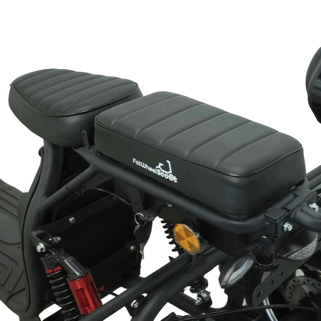 Steed Trike