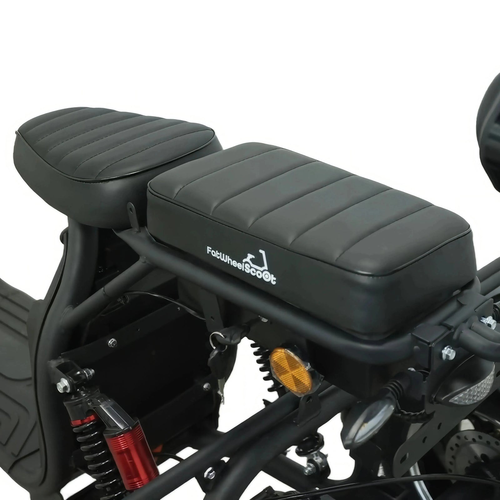Steed Trike