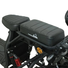 Steed Trike
