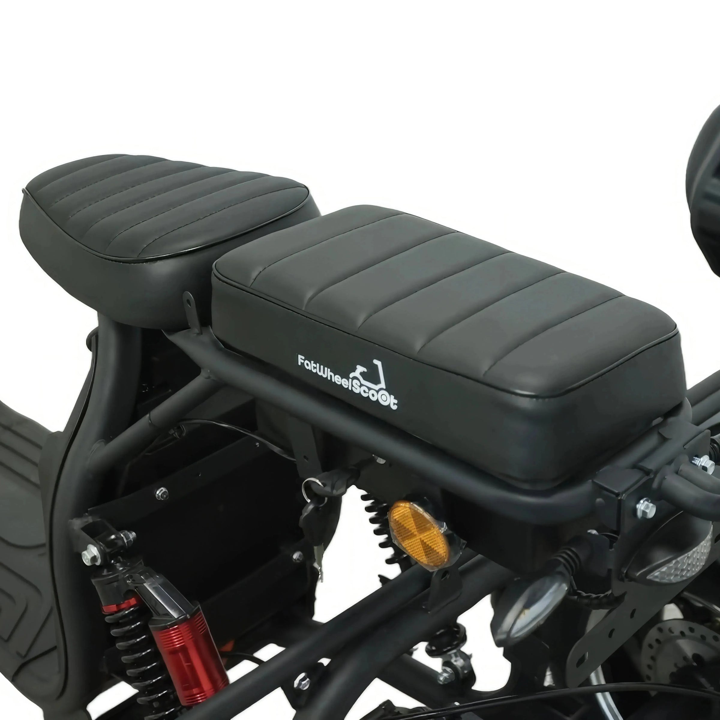 Steed Trike