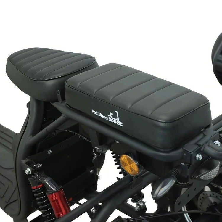 Steed Trike