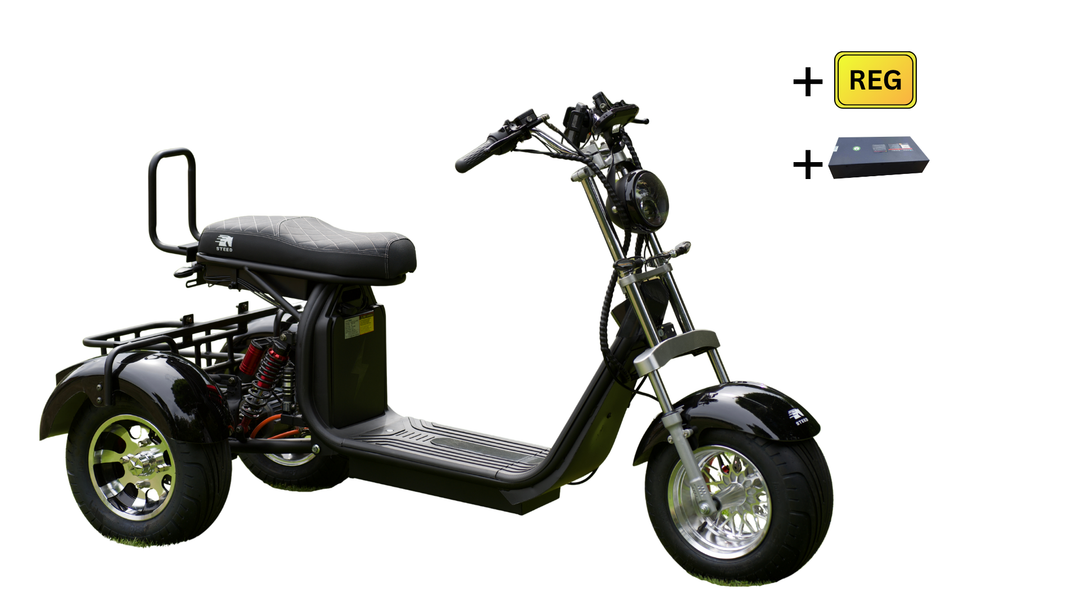 Steed Trike