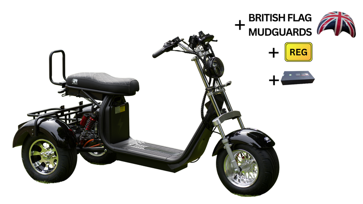 Steed Trike