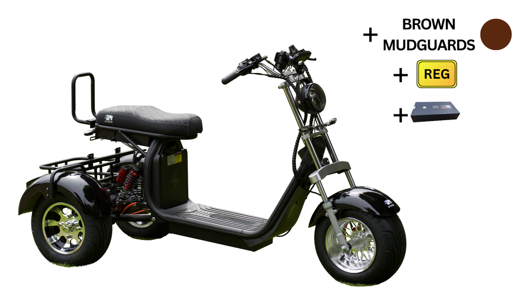 Steed Trike