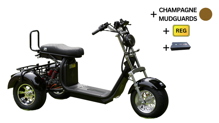 Steed Trike
