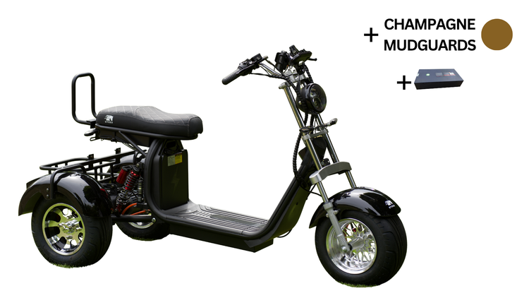 Steed Trike