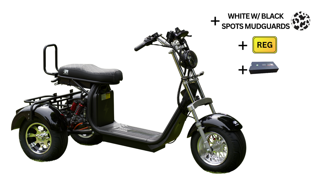 Steed Trike