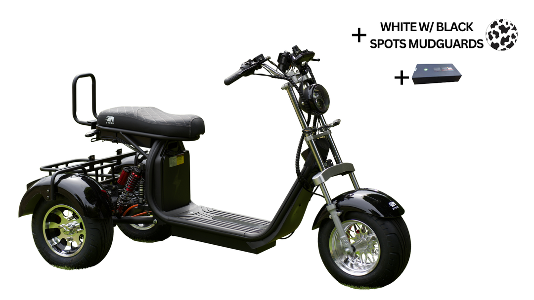 Steed Trike