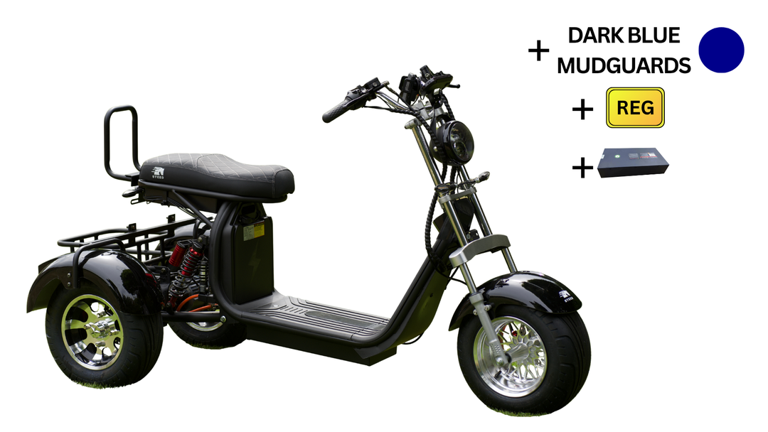Steed Trike