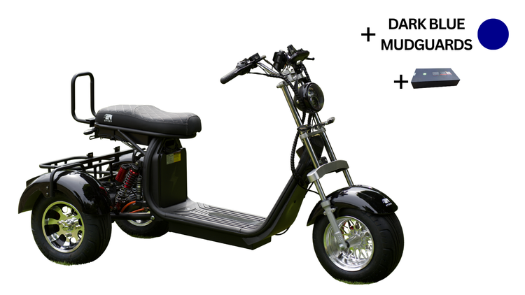 Steed Trike