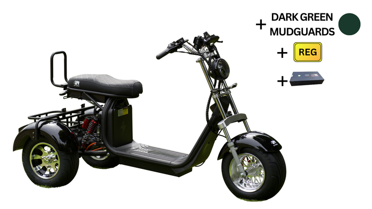 Steed Trike