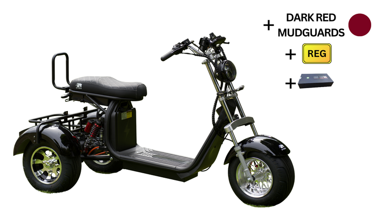Steed Trike